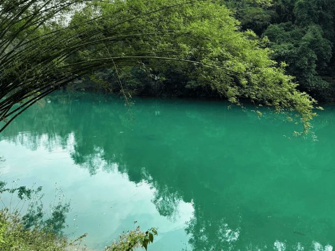 地私人报团价格贵州玩5天游玩行程介绍AYX爱游戏APP去贵州旅游五天当(图2)