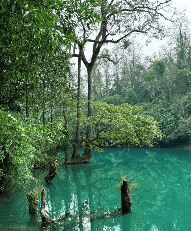 地私人报团价格贵州玩5天游玩行程介绍AYX爱游戏APP去贵州旅游五天当(图3)